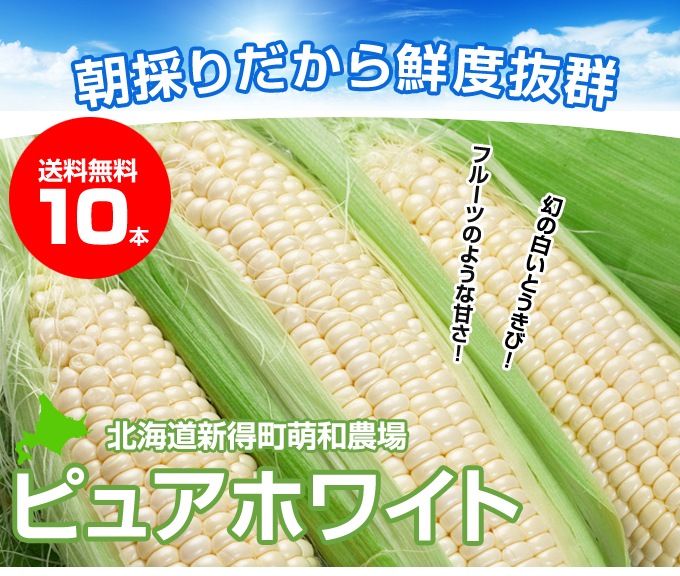 送料無料】【北海道】【十勝 新得産・萌和農場】[白いとうもろこし