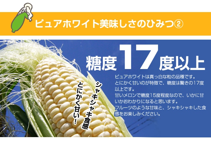 送料無料】【北海道】【十勝 新得産・萌和農場】[白いとうもろこし