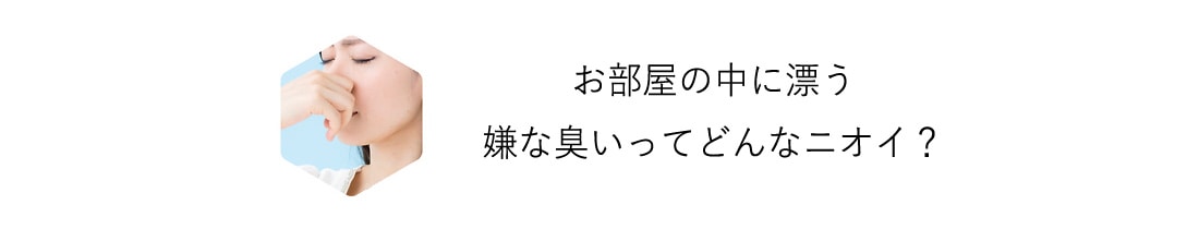 nanocare06