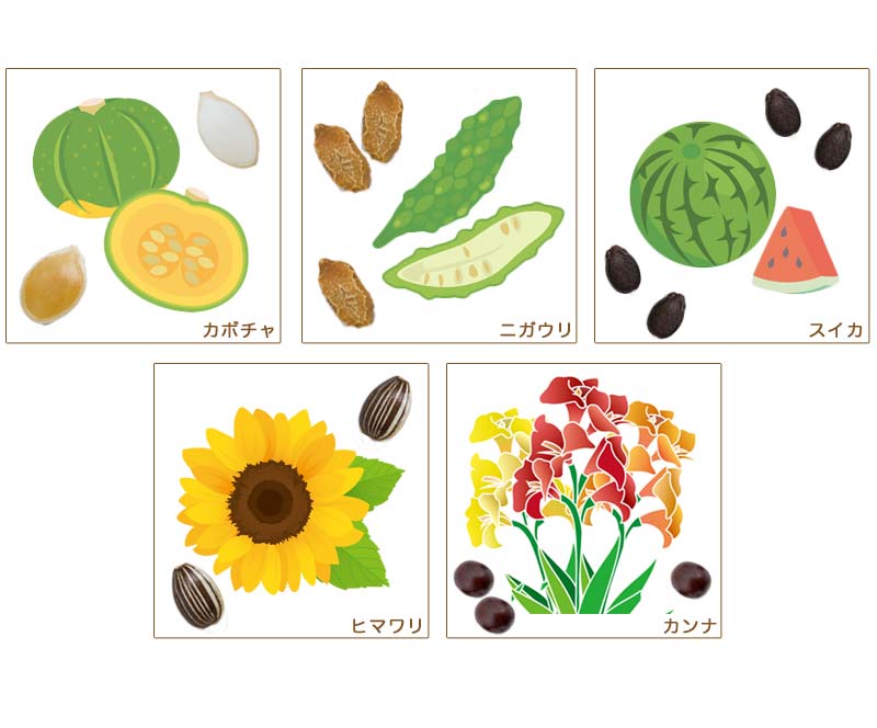 たねぢから03