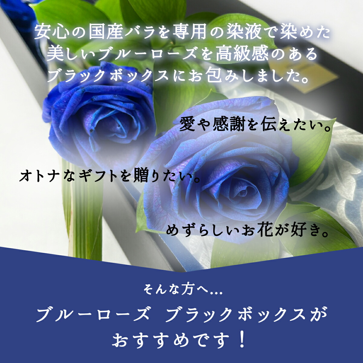 株式会社カプコン Blue rose様専用です | artfive.co.jp