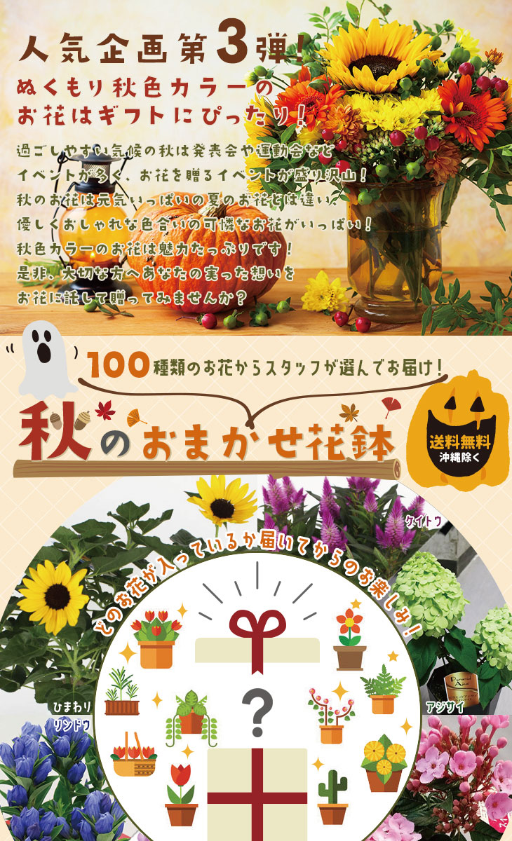 季節の花鉢 おまかせ 鉢植え 花鉢 内祝い ギフト 送料無料 プレゼント 盆栽 花壇 園芸 花のプレゼント あす楽 観葉植物 | フラワーギフト | 花 とワインギフト銀座東京フラワー