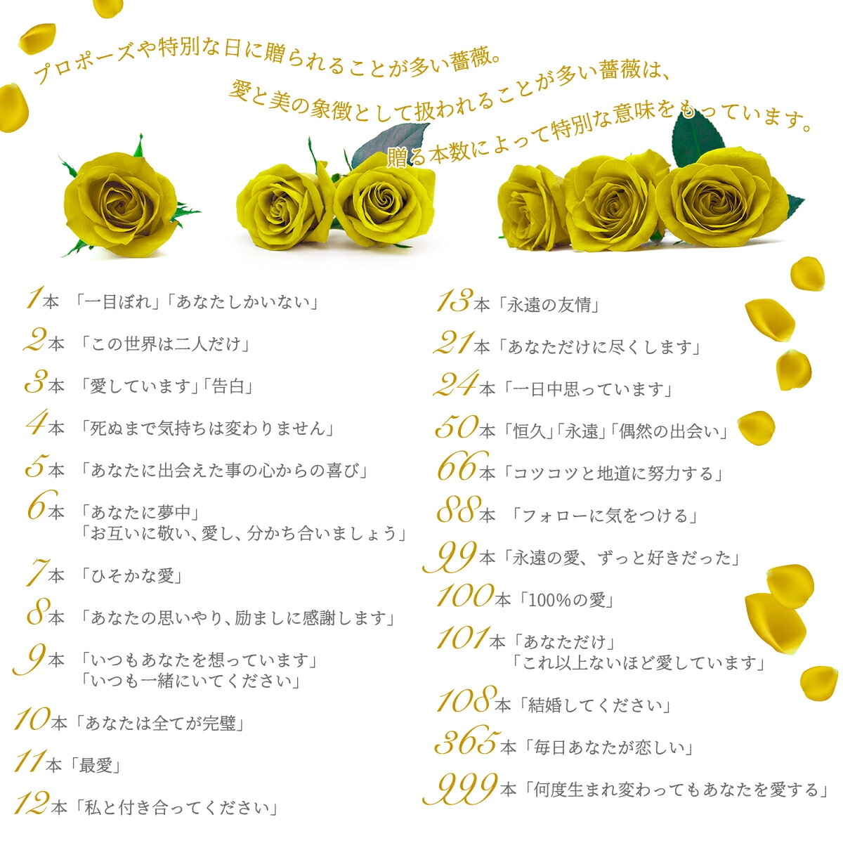 黄色いバラ50本の花束 生花 東京銀座クオリティ 送料無料 送料込み