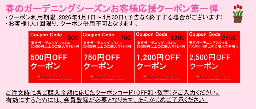 �դΥ����ǥ˥󥰥���������祯���ݥ�