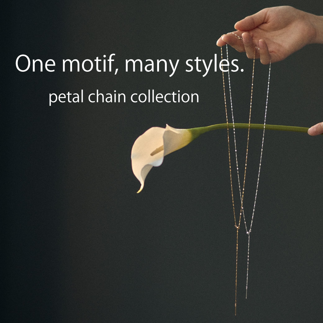 �ҤȤĤΥ����������ࡢ¿�̤�ɽ��