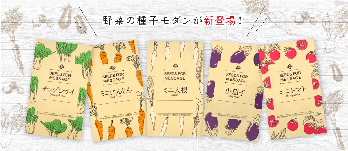 野菜の種子モダン
