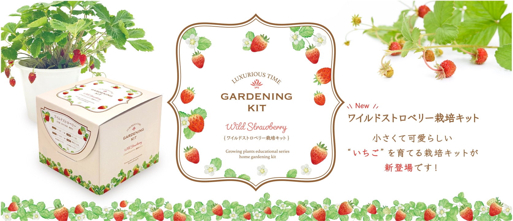 ワイルドストロベリー栽培キット