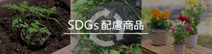 sdgs配慮商品