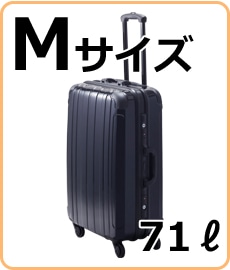 アウトレット品】プロテクトPG2ハードキャリー・Lサイズ スーツケス 