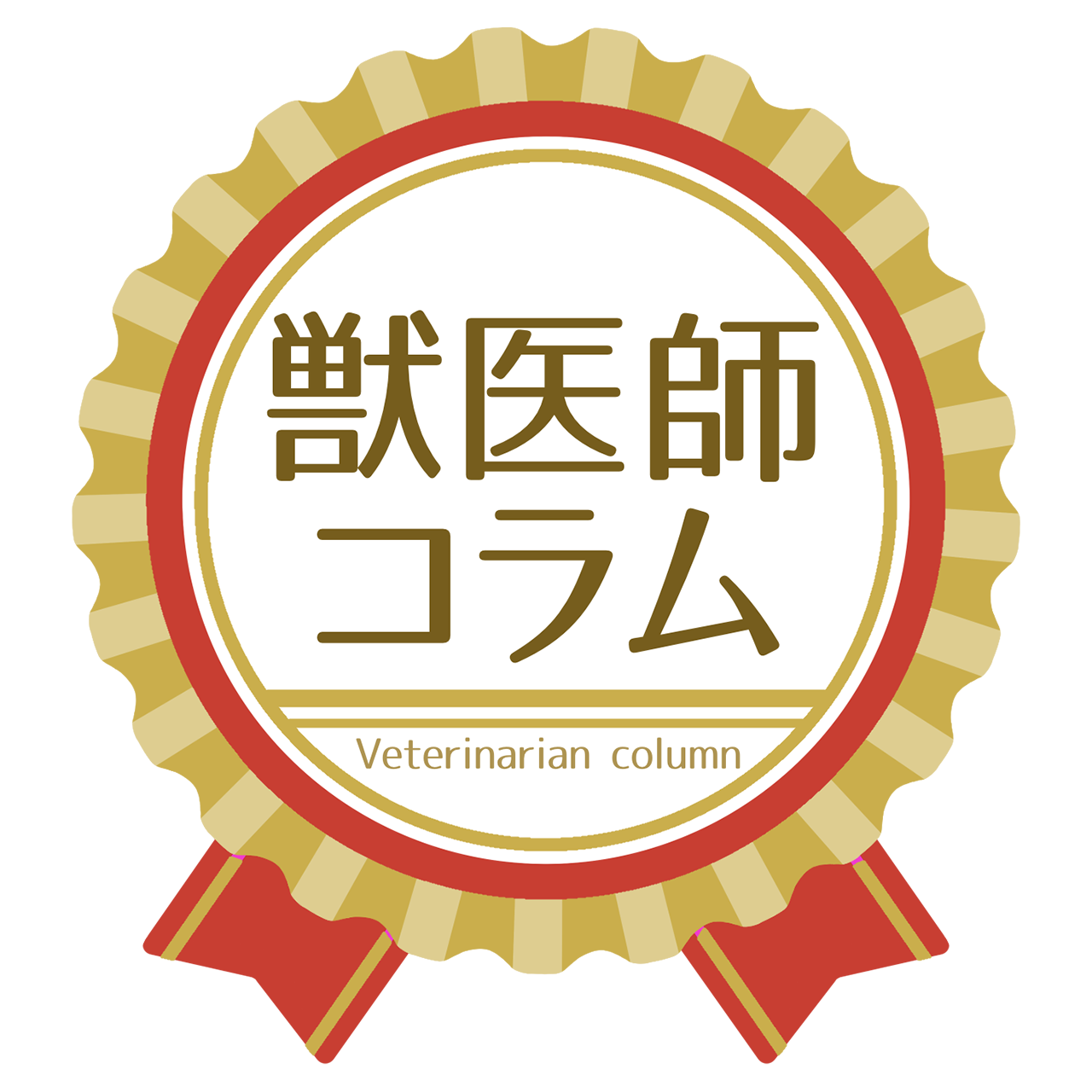 獣医師コラム