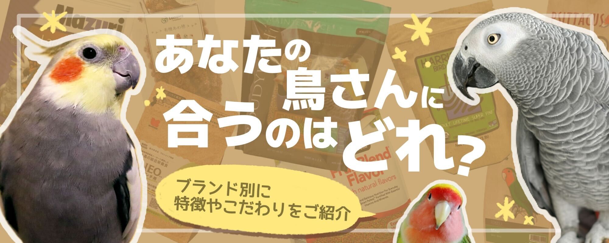 あなたの鳥さんに合うのはどれ？