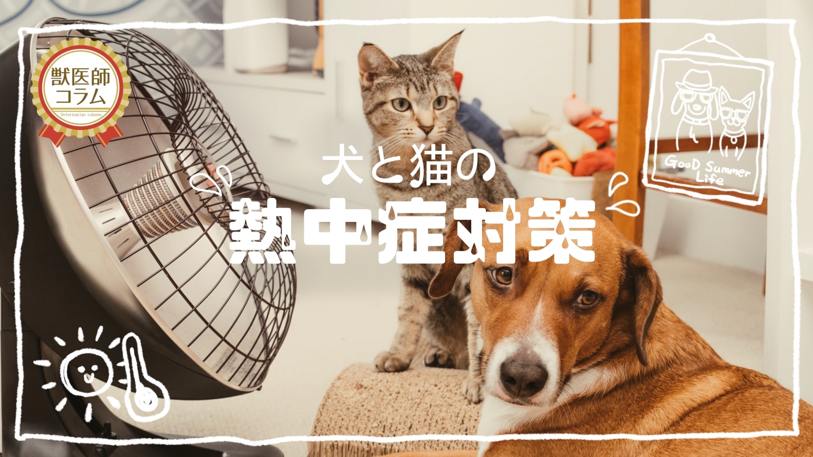 犬と猫の熱中症対策