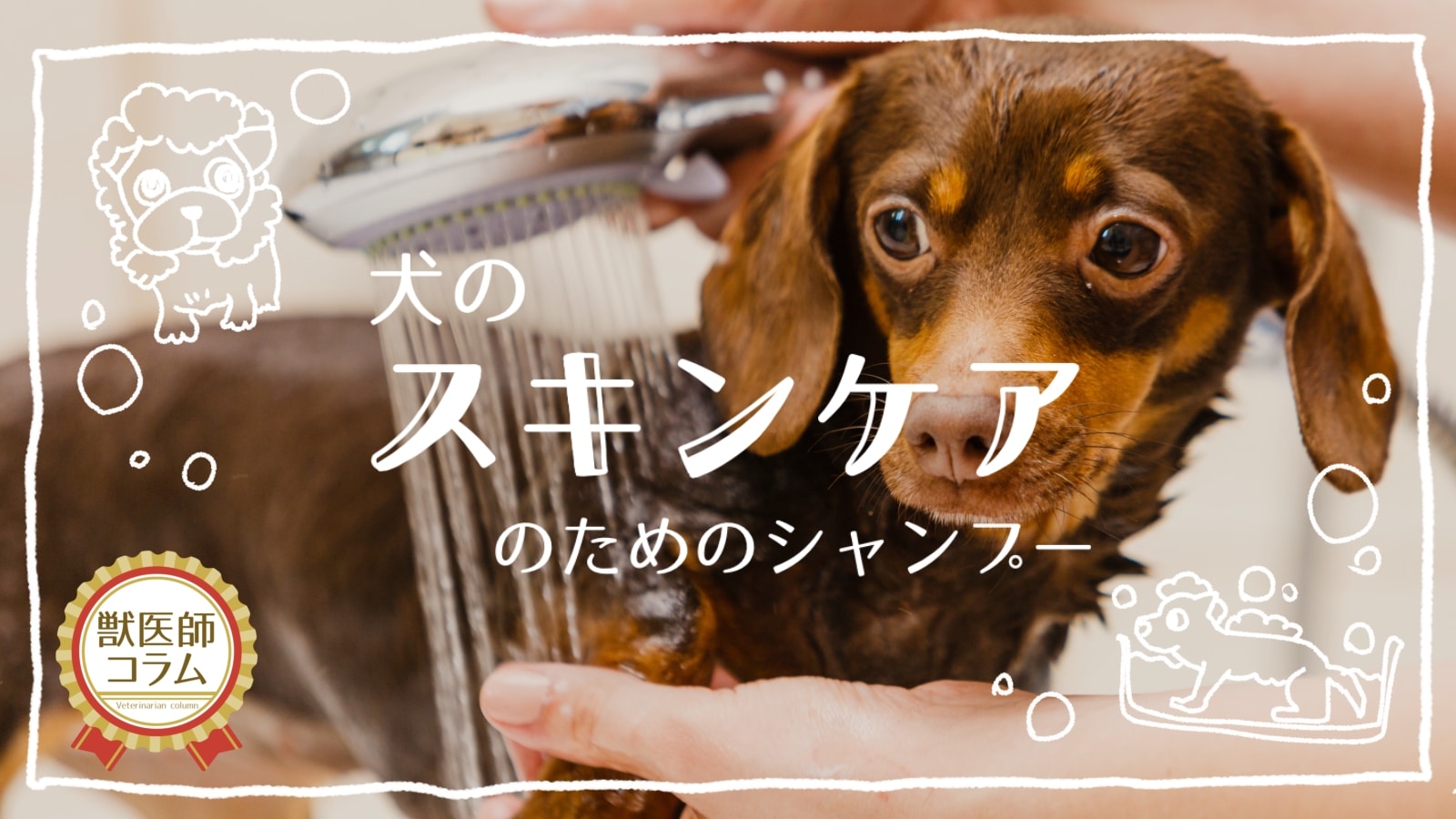 犬のスキンケアのためのシャンプー