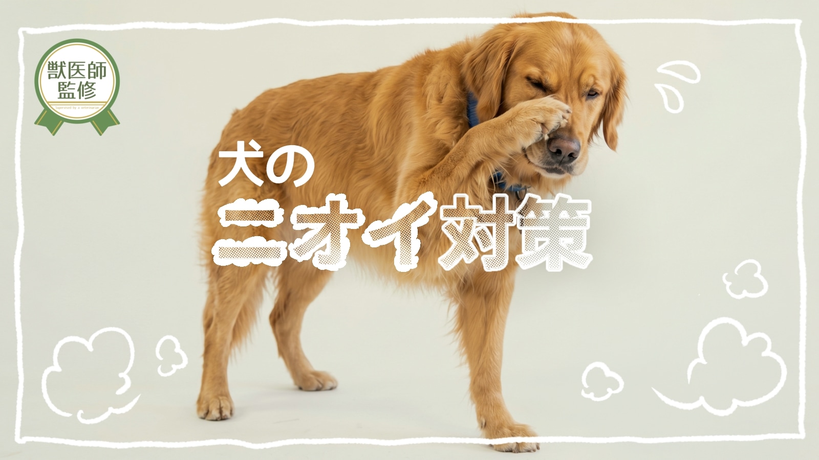 犬のニオイ対策