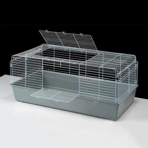 爬虫類特集 | トムキャット インターネット通販