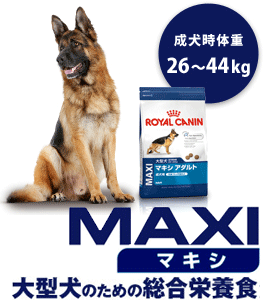 マキシ　大型犬のための総合栄養食　成犬時体重27〜44kg