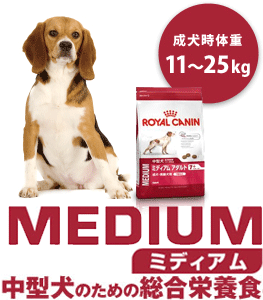 ミディアム　中型犬のための総合栄養食　成犬時体重11〜25kg
