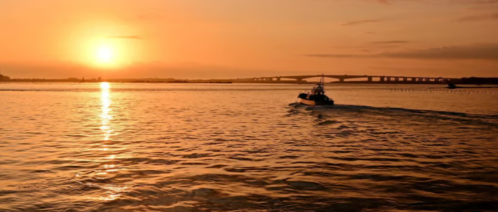 伸東養魚浜名湖