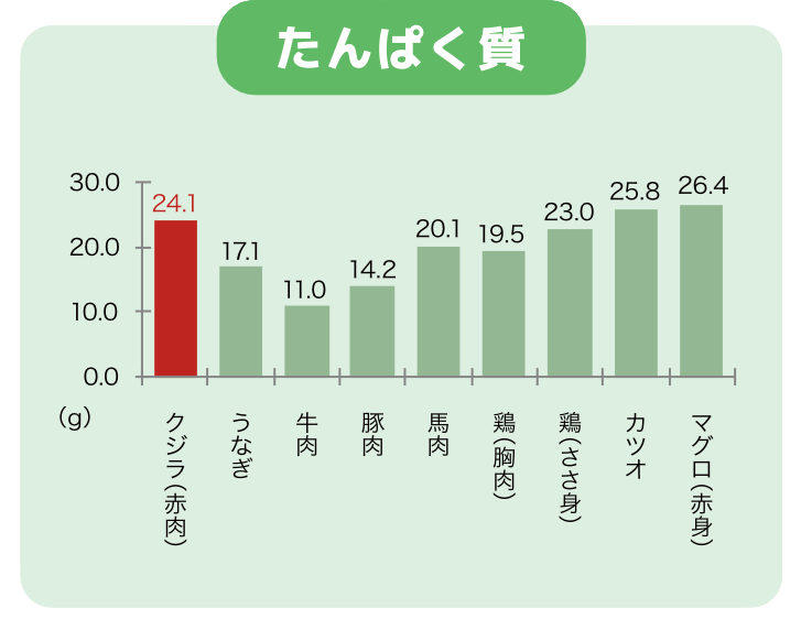 たんぱく質比較