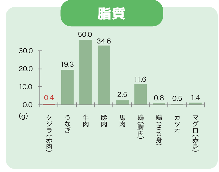 脂質比較