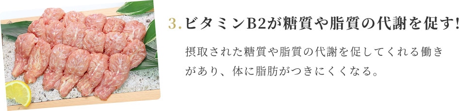 ビタミンB2が糖質や脂質の代謝を促す！