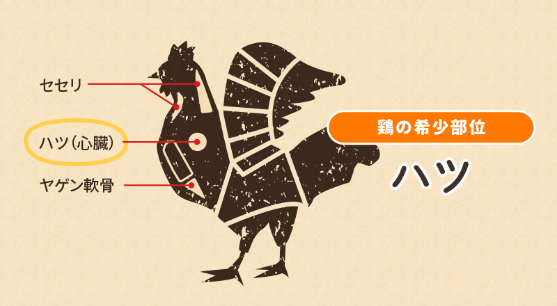 鶏の希少部位　ハツ
