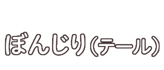 ぼんじり（テール）