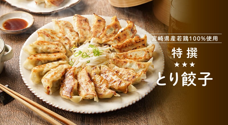 宮崎県産若鶏100%使用　特撰とり餃子