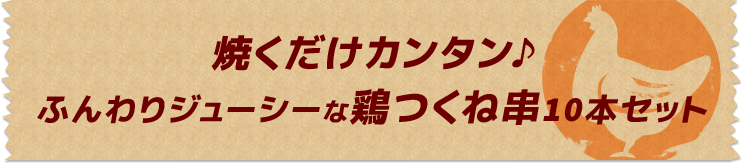 焼くだけカンタン♪ふんわりジューシーな鶏つくね串10本セット