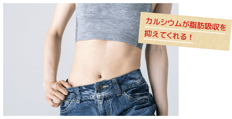 カルシウムが脂肪吸収を抑えてくれる！