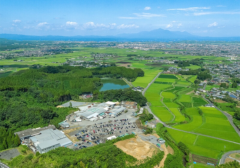 エビス通販とは