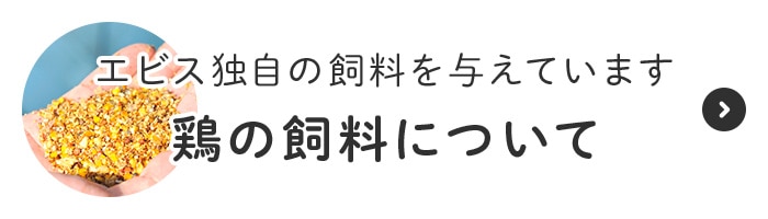 鶏の飼料について