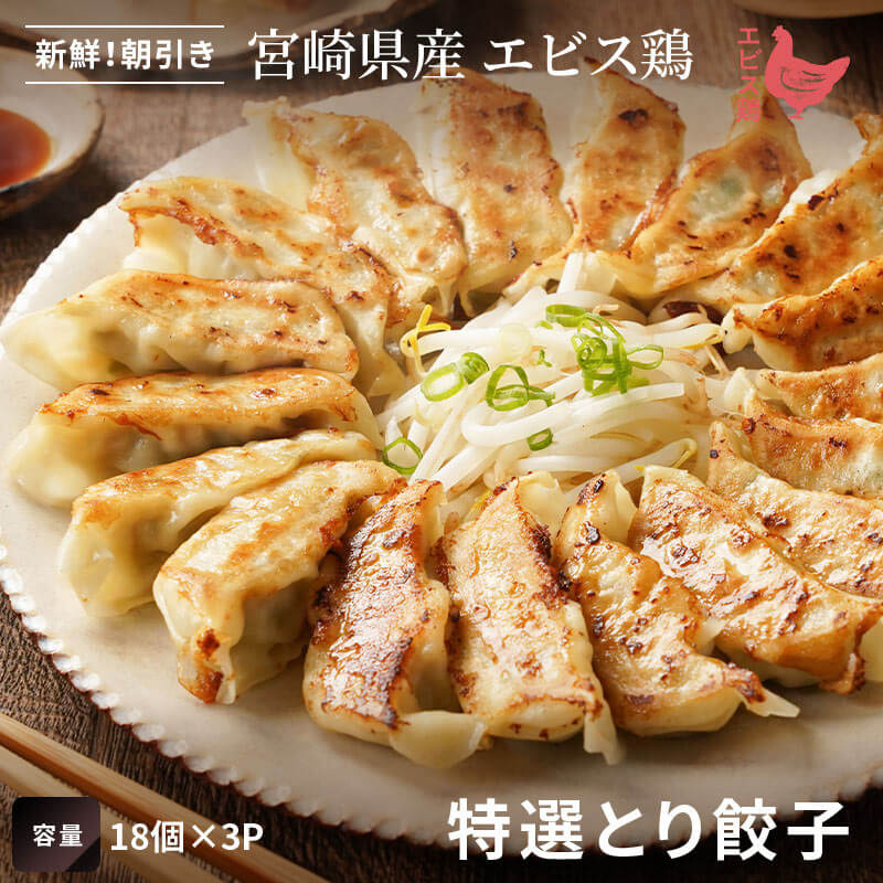 特選とり餃子の画像