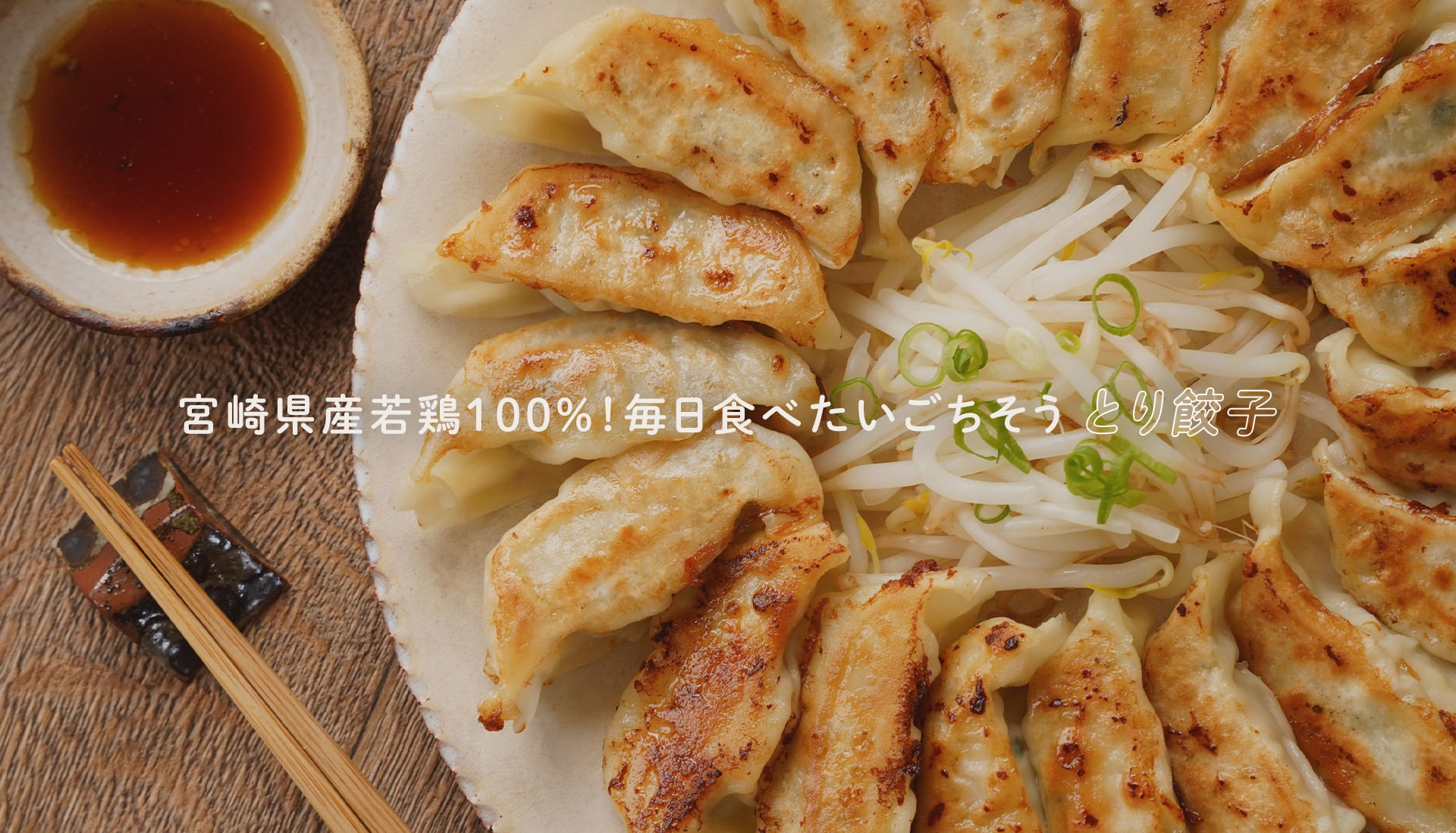 宮崎県産若鶏100%！毎日食べたいごちそう　とり餃子