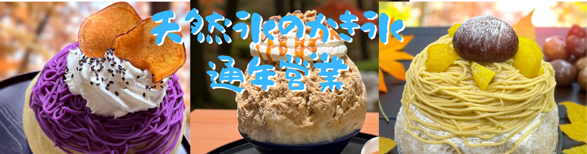 天然氷のかき氷 天然氷のかき氷