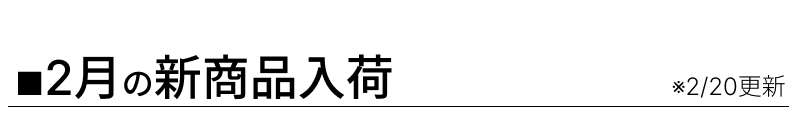 今月の新商品