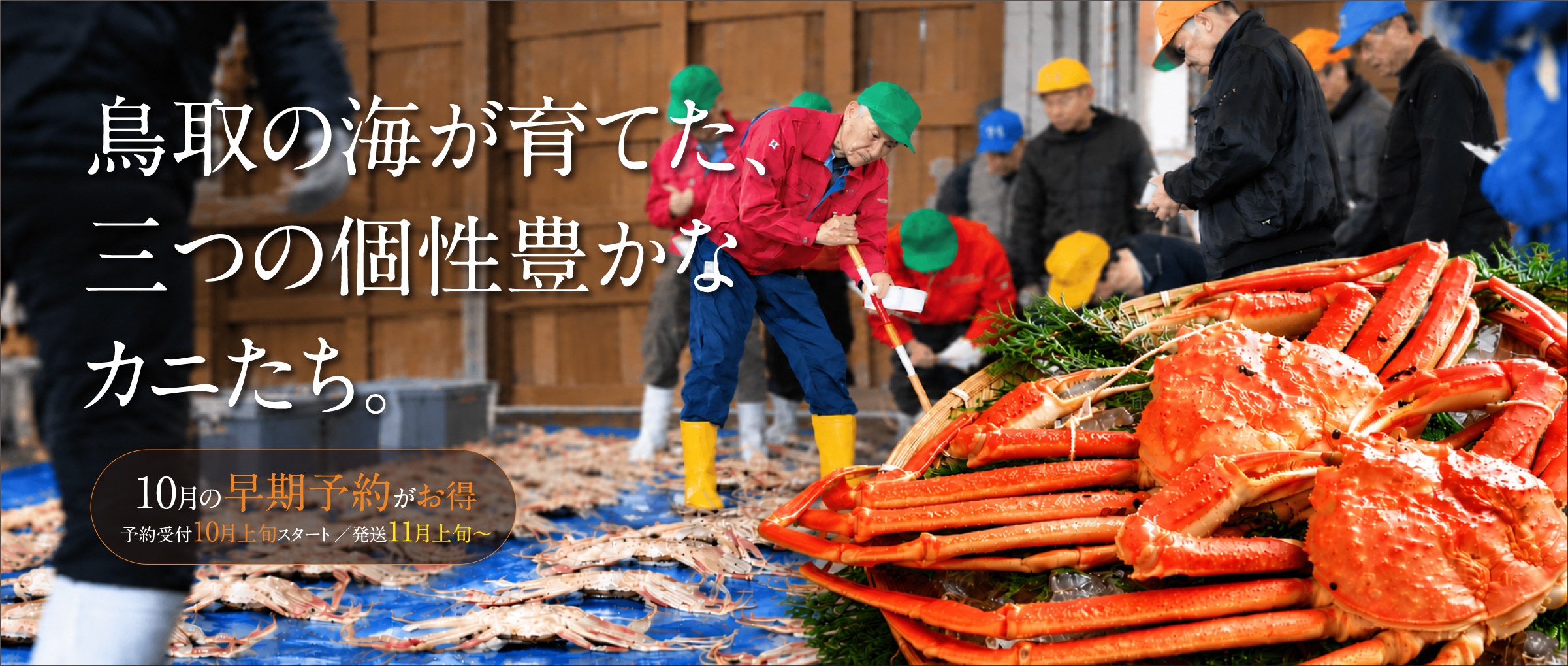 松葉がに・親がに・若松葉がに 食べ比べ特集