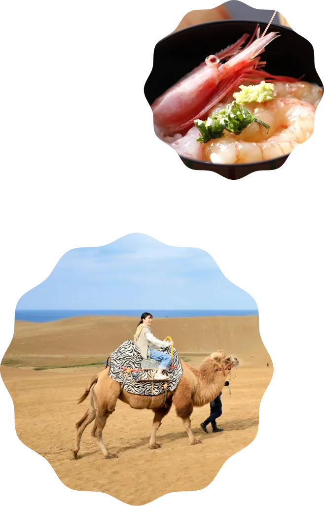 【真作 名品】 小畑稲升「鯉」百貨店銘柄(鳥取大丸購入) about_img02.webp