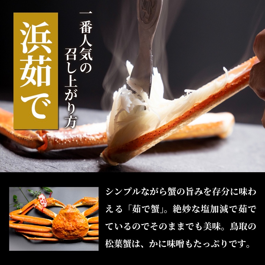 松葉ガニ 特大サイズ 900g～1.0㎏ タグ付き（浜茹で）【英弘水産
