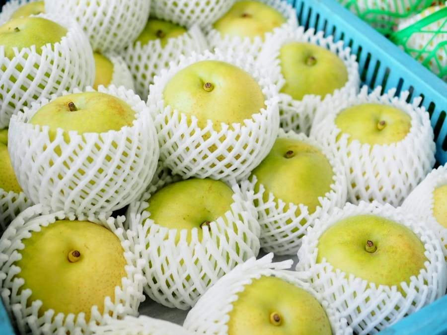 20号 矢屏風 花梨塗 20世紀梨【赤秀品 5kg】JA鳥取いなば 光センサー糖度選果【道の駅