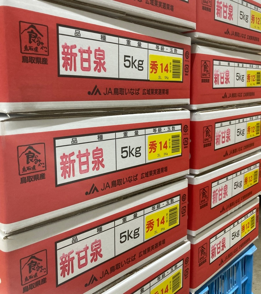 新甘泉【赤秀品 5kg】JA鳥取いなば 光センサー糖度選果【道の駅はっと