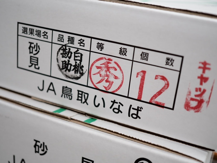 道の駅はっとうフルーツ