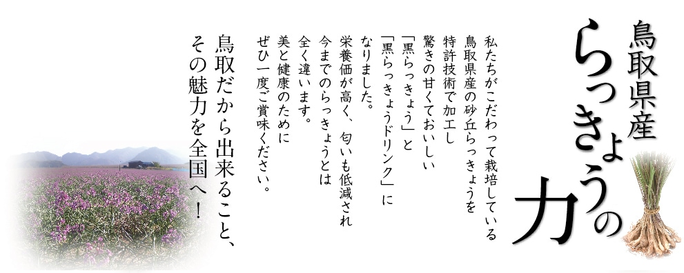 鳥取らっきょう専門 井上農園
