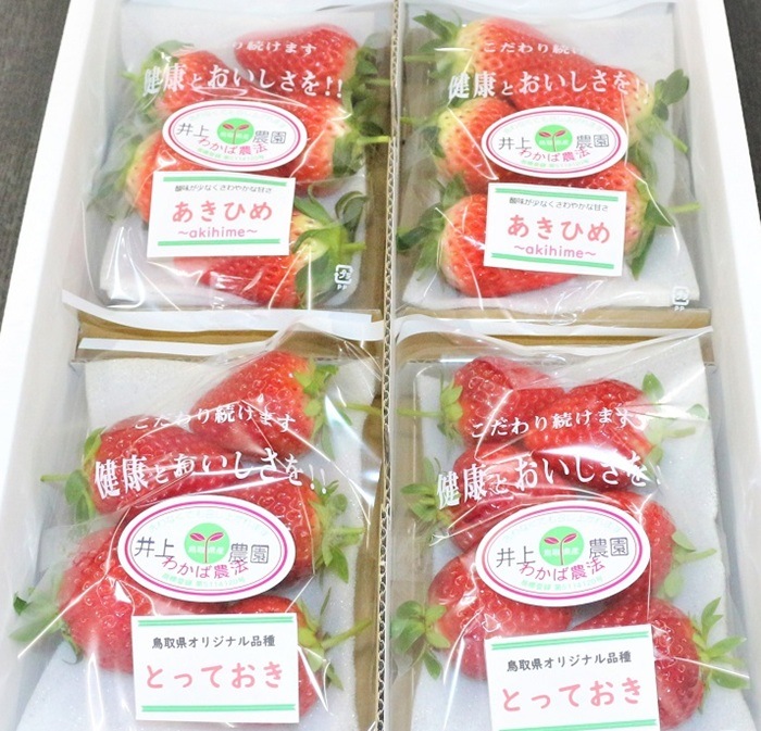 いちごの井上農園