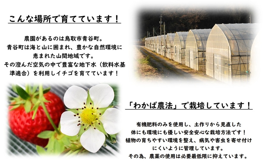 いちごの井上農園