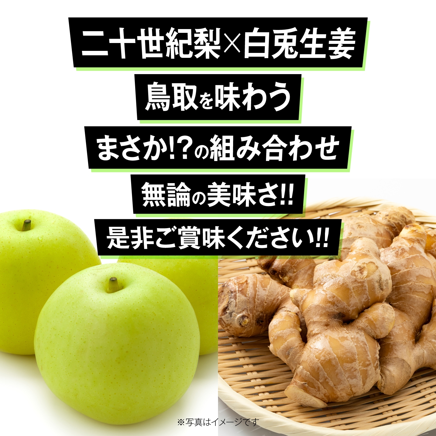 カイズファーム