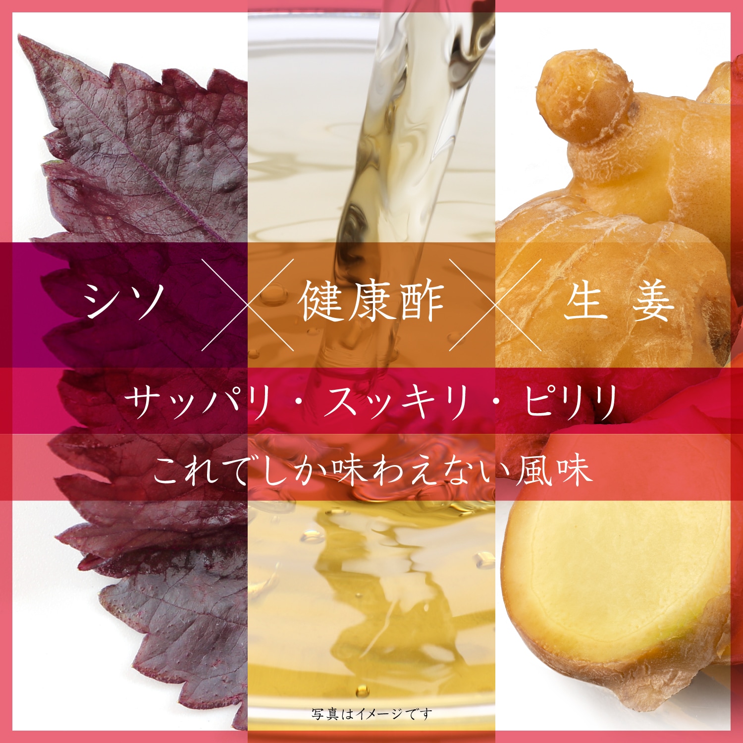 カイズファーム