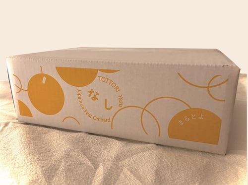 2026年度販売終了】新甘泉梨2.5kg（5～7玉）【果樹まるとよ】 ｜鳥取