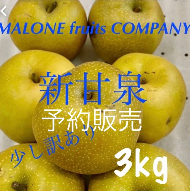 Malone Fruit Company