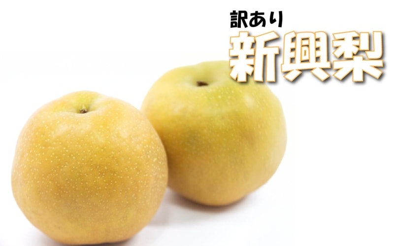 家庭用 新興梨 5kg(約8玉~15玉)【中野農園】 |鳥取の特産品お取り寄せ通販|とっとり市(いち)